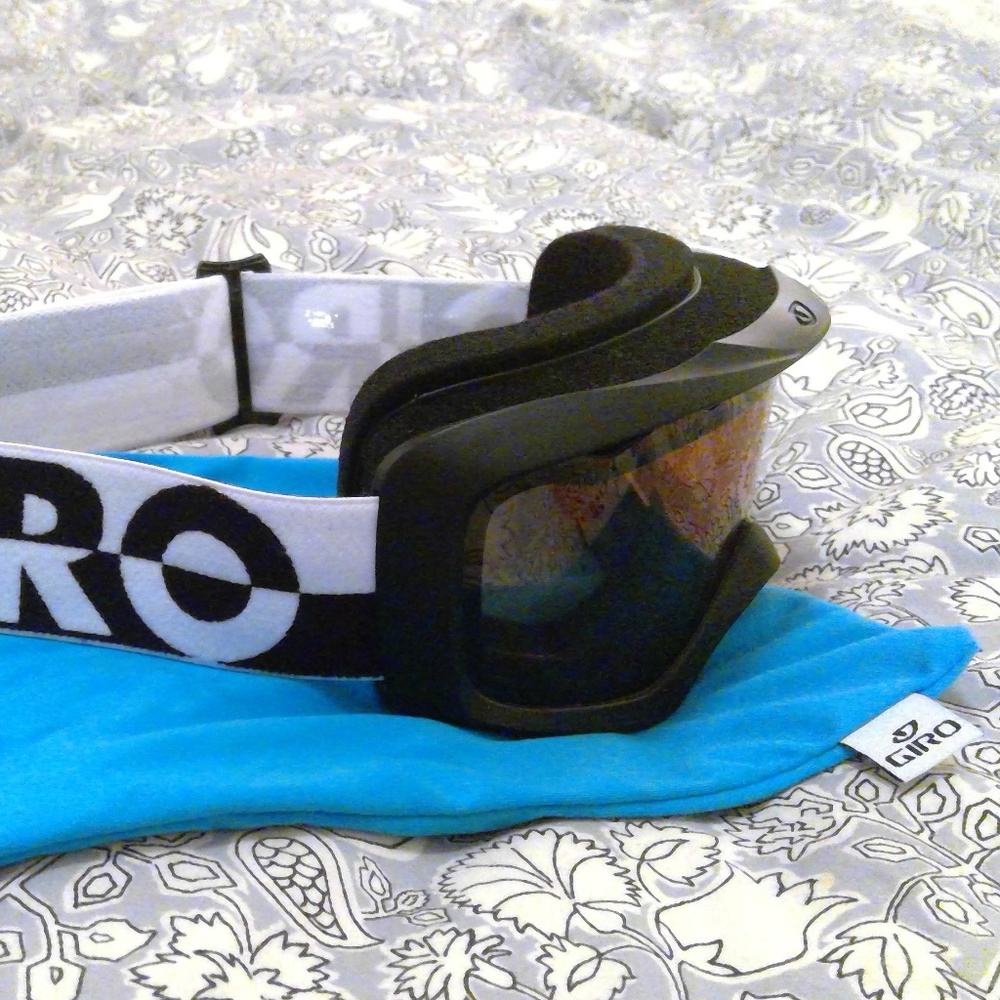 ski or snowboard goggles